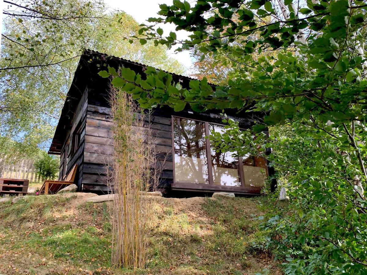 Trees House Parang Petrosani Exterior photo