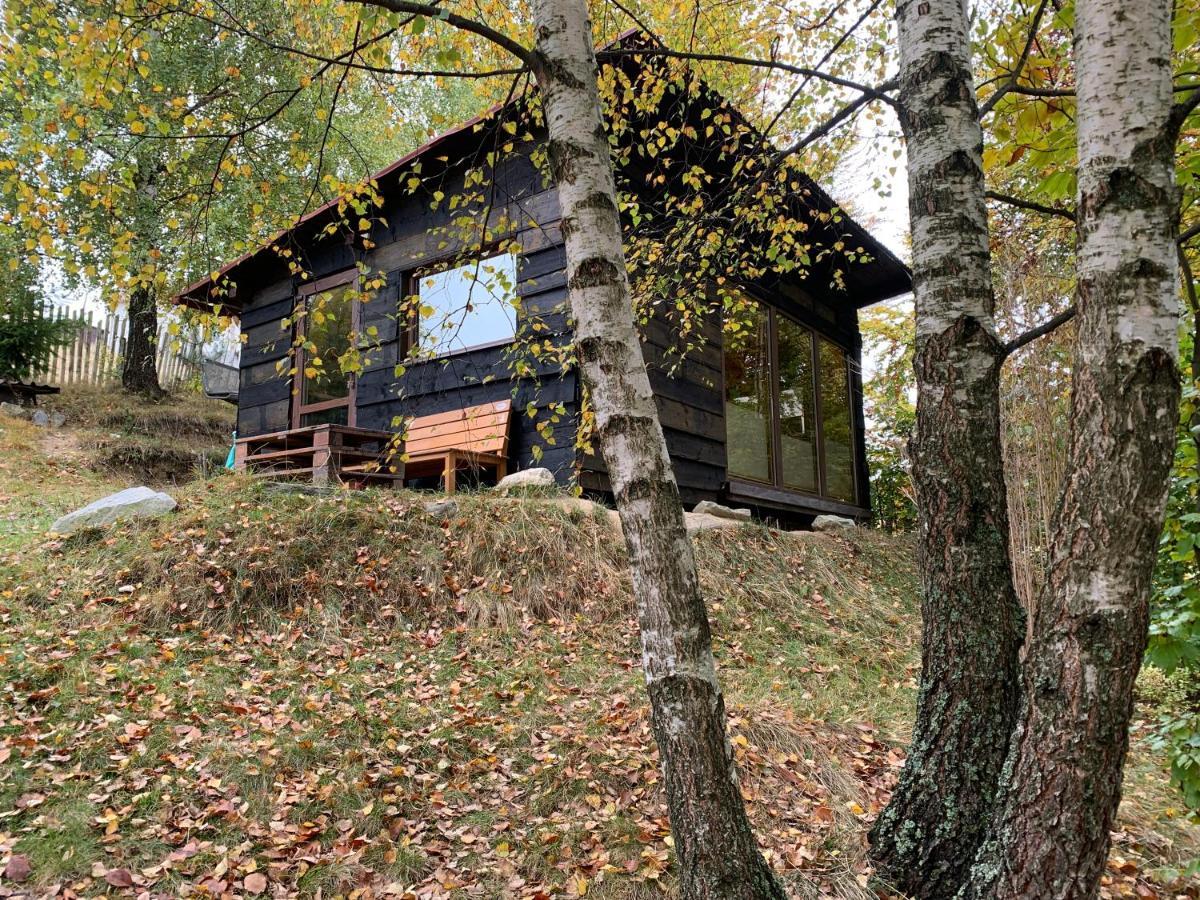 Trees House Parang Petrosani Exterior photo