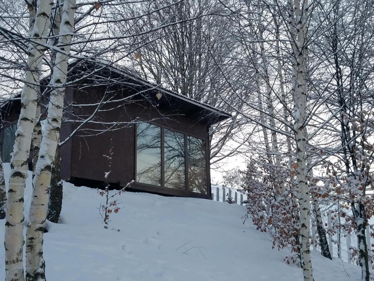 Trees House Parang Petrosani Exterior photo