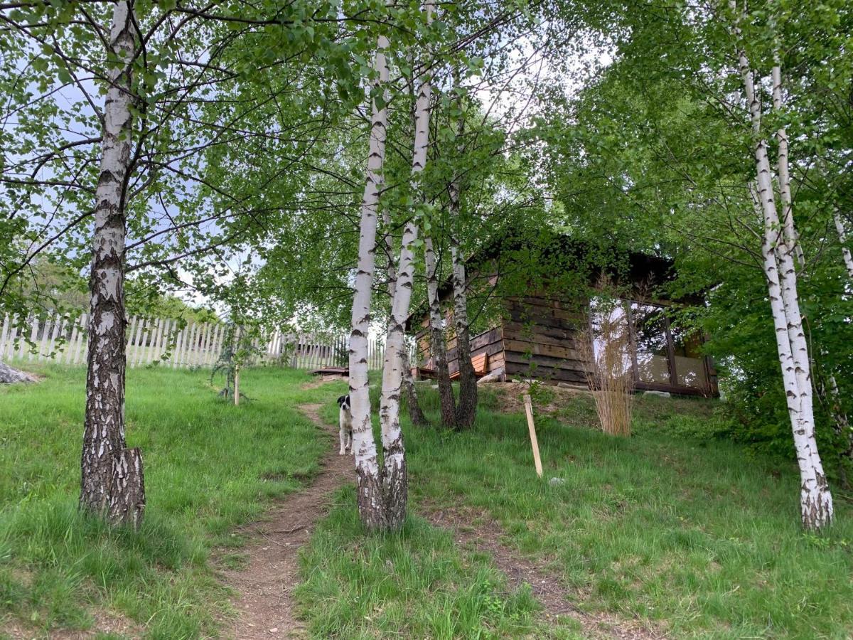 Trees House Parang Petrosani Exterior photo